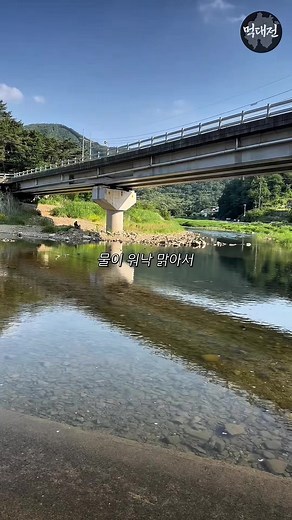 대전에서 20분: 역대급 맑은 계곡 추천