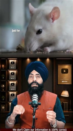 Mouse vs Rat 🐀 | What’s the Real Difference? 🤯 Amazing Facts Explained! #MouseVsRat #Rat #Mouse
