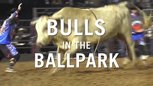 1.1K views · 43 reactions | November 10-11 Bulls in the Ballpark presented by Lone Star Ag Credit returns to Dell Diamond! Two nights of Xtreme Bull Riding, Mutton Bustin' and fireworks! It'll be an action packed weekend, grab your tickets to see it all! https://rodeoaustin.com/events/bulls-in-the-ballpark/ | Rodeo Austin | Facebook