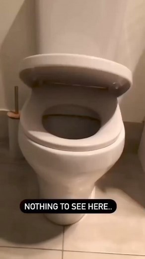 Stoner Memes on Reels