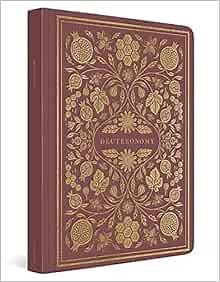 Item in very good condition! Textbooks may not include supplemental items i.e. CDs, access codes etc...