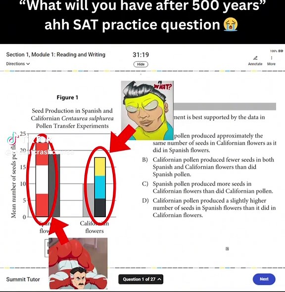 Effective SAT Test Prep Strategies