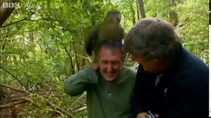 Four of the World's Dumbest Animals