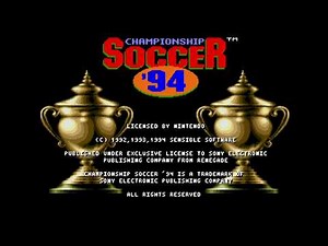 Championship Soccer '94 / International Sensible Soccer: World Champions (SNES) - Random Gameplay
