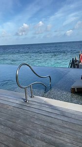 3.6K views · 166 reactions | Swim or run? | Brian Lara | Facebook