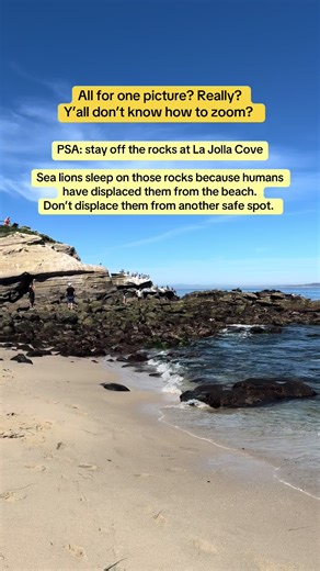 Protecting Sea Lions at La Jolla Cove