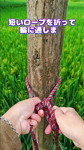 [The Ultimate Knot for Outdoor Rope] Keeps it Taut and Easy to Pack Away! #RopeKnot #OutdoorHacks...