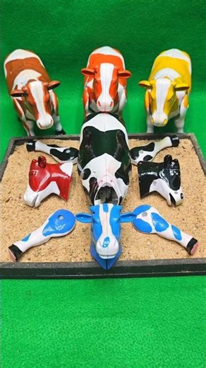 WADIDAW! Proses Potong Sapi Qurban Terbesar 2026 | #sapilucu #qurban #shorts #sapi