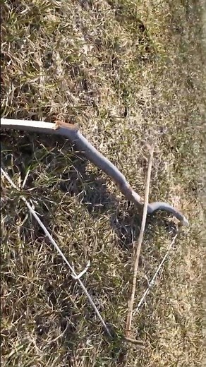 Comment faire un arc à flèche dans la nature? (Reste jusqu'à la fin!).