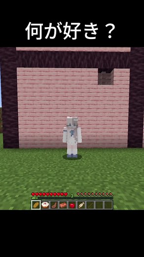 マインクラフト女の子の冒険