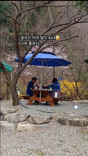 소양계곡맛집#완주맛집#송광사계곡맛집#완주까치산장#완주야장술집#완주닭볶음탕맛집#소양분위기맛집#전주근교맛집#shorts