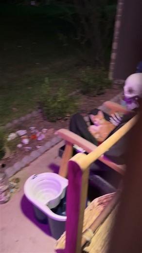 Stray Cat Adopts Family, Sleeps on Skeleton's Lap All Night!
