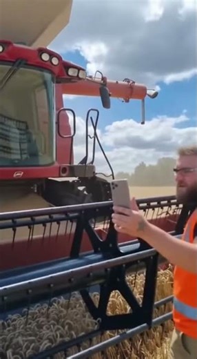 Ready for some tractor action? 😄 combine harvester moves through wheat grain flying into the tank