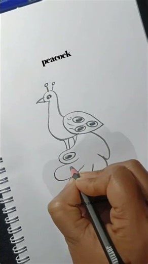 Peacock drawing tutorial step by step #peacock #shortvideo #animalart #cute #sketch