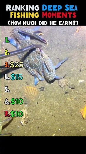 Ranking Deep Sea Fishing Moments Pt. 01🎣 How much did he earn? #deepseafishing