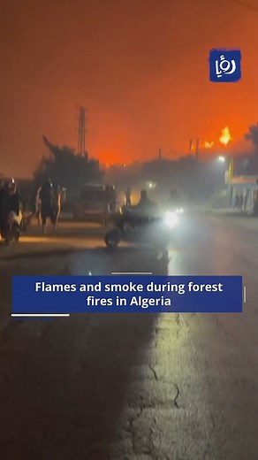 Flames and smoke during forest fires in Algeria. | Roya News English