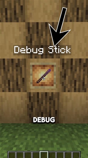 Der Debug Stick in MINECRAFT! #flizzer #minecraft