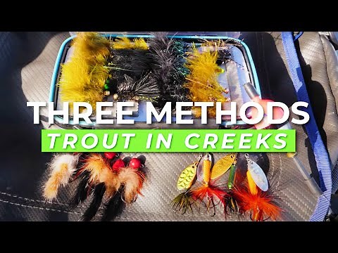 TOP 3 Trout Fishing Setups For Creeks & Rivers