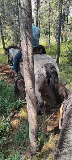 Donna Murphy on Reels