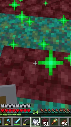 How To Spread Nylium in Minecraft