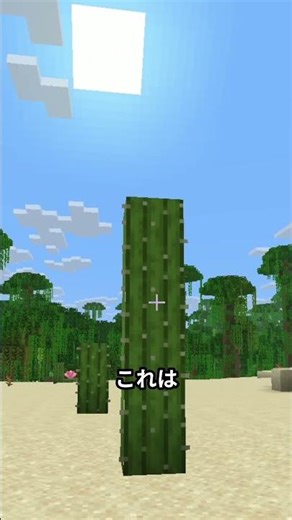 マイクラで一番大きいサボテン #マイクラ #マインクラフト #minecraft #プチ知識 #一分でわかる #ゲーム