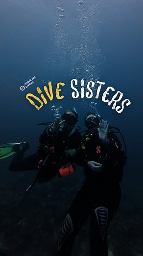 1.9K views · 74 reactions | POV: Diving with your dive sister hits...