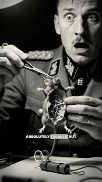 The Nazis Feared Exploding Rats! #talesofvalor #shorts #ww2