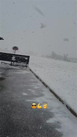 #österreich🇦🇹 #DPD #Baszadneki #😎💪 #imádomamunkám