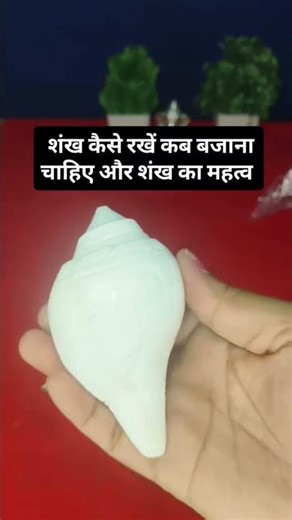 How to blow the conch and when to blow it #upay