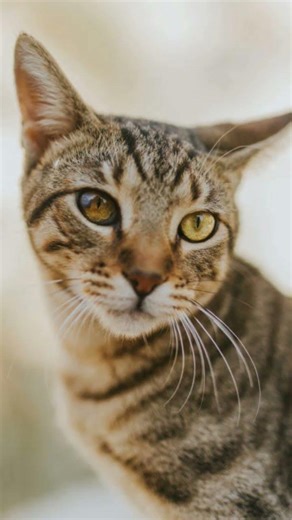 yeah also on my math test🤣