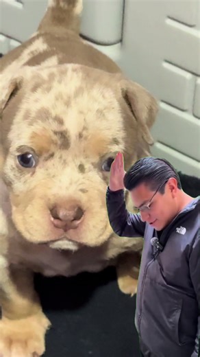 Explore the Oriente Exotic Family Experience