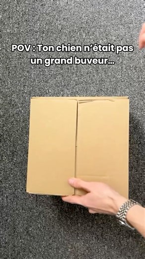 Je t'explique comment le reproduire chez toi - guide gratuit en bio#maitredechien #gamellechien