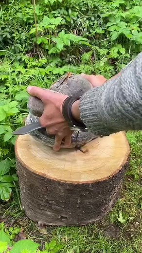 Processing a Horse hoof fungus into good Amadou tinder for flint & steel 🔪🔥. Started out with removing the hard outer layer of the mushroom. It’s extremely hard even though it’s just a few millimeters thick. It took me a good 1/2 hour to get all of it off, even with a very sharp knife#woodsman #bushcraft #knife #mushroom #flint