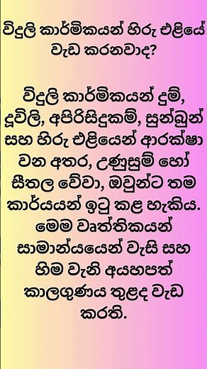 විදුලි කාර්මිකයන් හිරු එළියේ වැඩ කරනවාද #shortfeed #shortsviral #sinhala #top10