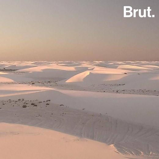 Une mer de dunes d'une blancheur éclatante s'étendant à perte de vue… Bienvenue aux White Sands, une merveille naturelle protégée du Nouveau-Mexique. | Brut nature FR