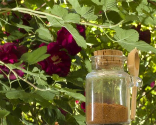 Homemade Five-Spice Powder Recipe - Chef's Resource Recipes