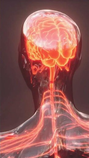 What is Multiple Sclerosis?