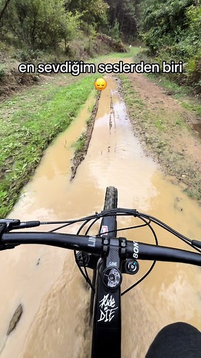 Relaxing ASMR Bike Ride | Mountain Biking Sounds