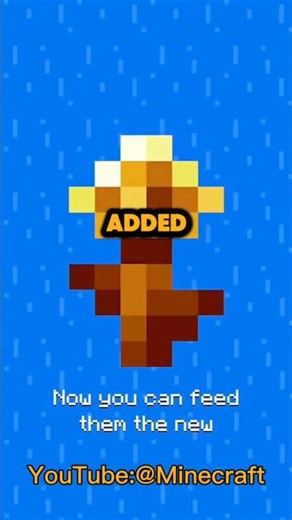 New Minecraft Update Explained In 20 Seconds #minecraft #shorts #fyp #gaming