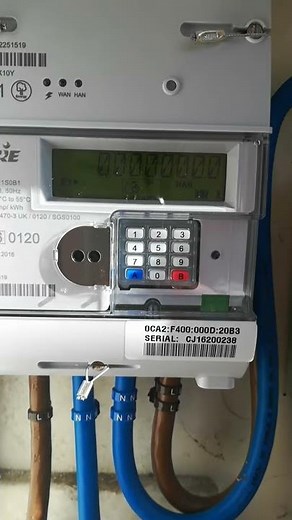 Liberty 100 electric smart meter