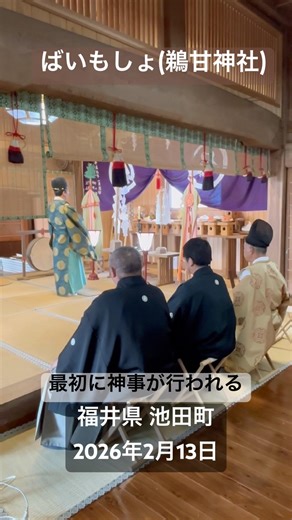 「ばいもしょ」100年以上続く鵜甘神社の新春予祝神事で、子供達が境内に向け投げられた木の棒を奪い合い、五穀豊穣を願う。旧家の使用人に棒を奪い合わせたことが起源。福井県 池田町。2026年2月13日。