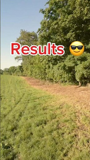 Before and After - Forestry Mulching #landclearing #forestrymulching