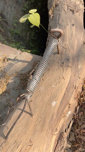 Perfect Knot Every Time #gtknot #knots #rope #bowlineknots #campingtips #shorts