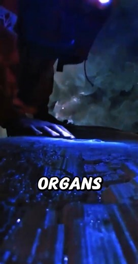 This Cave Boils You Alive in 20 Minutes 🥵