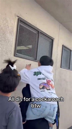 Legend has it that the cockroach is still alive 😂