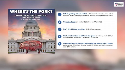 "What in the HELL are these elected people doing with our money?" One America News Network Learn more - read our Where's The Pork? investigation: https://bit.ly/WTPork22 | Open The Books