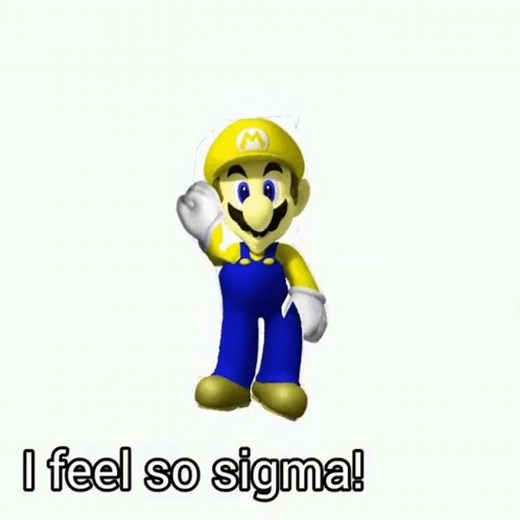 sigma skibidi Ohio rizz moment