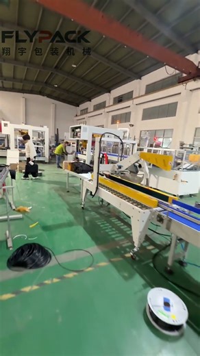 The complete line of Case packer #Casepacker#Casepacking#Packagingmachine#manufacturer#factoryprice