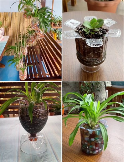 476K views · 2.9K reactions | From Trash to Treasure: DIY Plastic Bottle Pot for plants | DIY Waste out of waste | Simple Drawings | Facebook