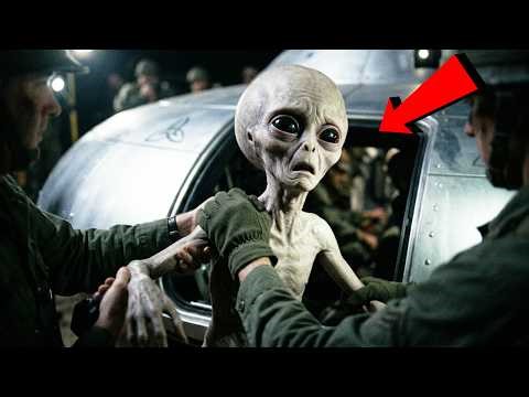 "APUNTEN A LA CABEZA": El Alienígena que Pidió Ayuda y fue ENJAULADO